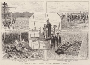 Scene sul fiume Skeena, Columbia Britannica